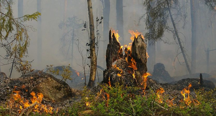 Período Crítico de Incêndios