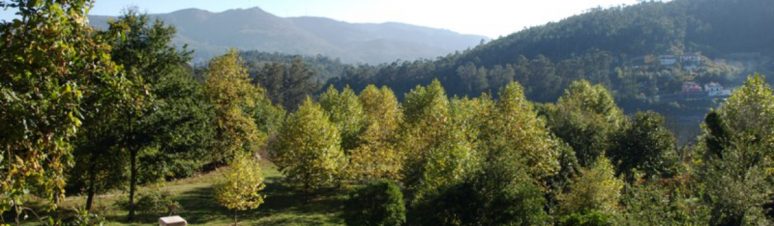 Casa Campo do Ermal 10
