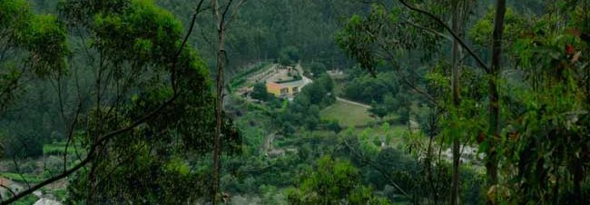 Casa Campo do Ermal 25