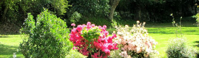 Country House Gerês 14