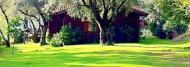 Country House Gerês 5
