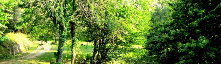 Country House Gerês 6
