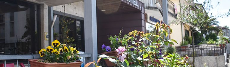 Hotel Arijal 6