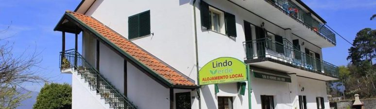 Lindo Verde 10