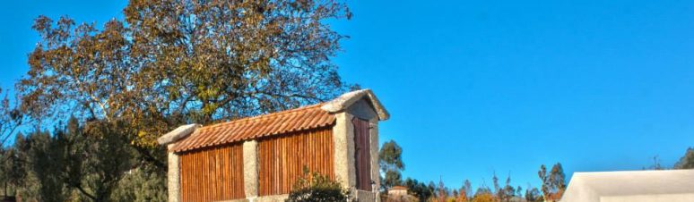 Quinta da Mouta 13