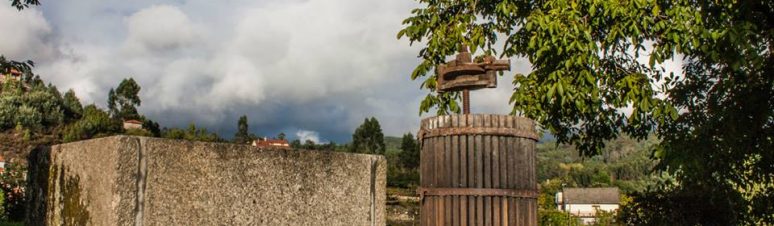Quinta da Mouta 20
