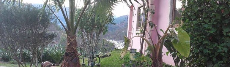 Quinta das Três Fontes 2