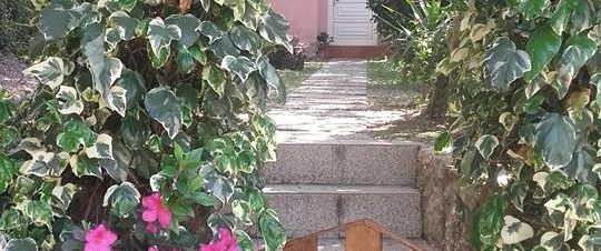 Quinta das Três Fontes 5