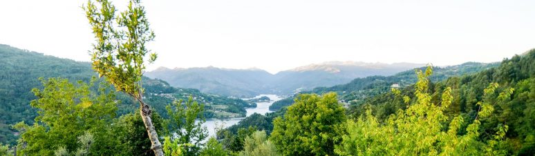 Quinta de Calvelos 10