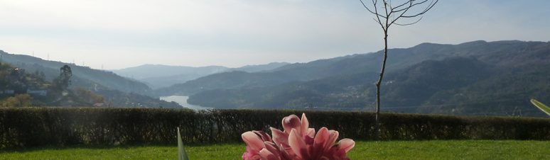 Quinta do Bento 7