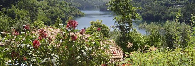 Quinta do Negral 2