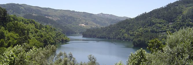 Quinta do Negral 4