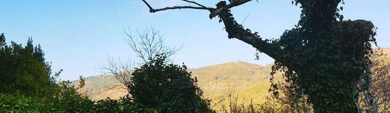Quinta do Sorilhal 22