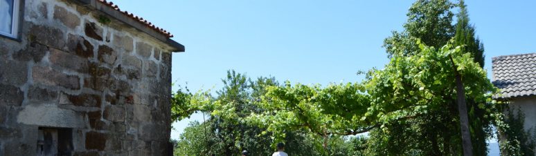 Quinta dos Martinhos 21
