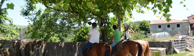 Quinta dos Martinhos 23