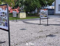 Galeria de Fotos - Exposição de fotografia sobre a Feira da Ladra está patente na Praça Guilherme de Abreu