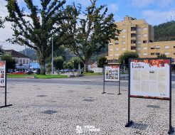Galeria de Fotos - Exposição de fotografia sobre a Feira da Ladra está patente na Praça Guilherme de Abreu