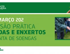 Galeria de Fotos - Autarquia arranca com Sentir Vieira 2022