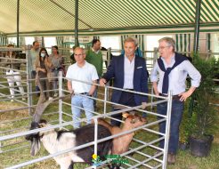 Galeria de Fotos - Município apoia produtores de raças autóctones