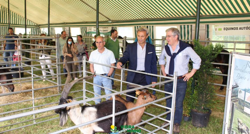 Município apoia produtores de raças autóctones