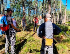 Galeria de Fotos - O potencial da resinagem para o Pinhal