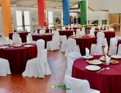 Galeria de Fotos - Inauguração da requalificação da Escola EBS Vieira de Araújo