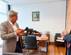 Galeria de Fotos - Combate à vespa asiática reforçado com novo equipamento