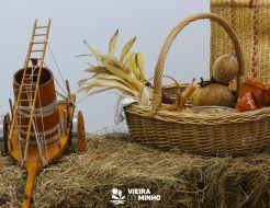Galeria de Fotos - Apresentação à imprensa do Programa Sentir Vieira