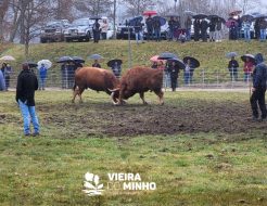 Galeria de Fotos - Chega de Bois voltaram a ser um sucesso