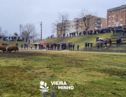 Galeria de Fotos - Chega de Bois voltaram a ser um sucesso