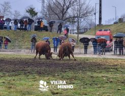 Galeria de Fotos - Chega de Bois voltaram a ser um sucesso