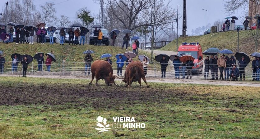 Chega de Bois voltaram a ser um sucesso