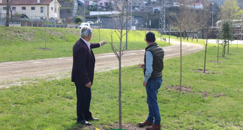 Reabilitação dos Espaços Verdes na Vila de Vieira