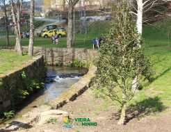 Galeria de Fotos - Reabilitação dos Espaços Verdes na Vila de Vieira