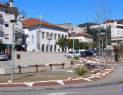 Galeria de Fotos - Jardim da Praça Simas Santos intervencionada