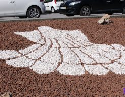 Galeria de Fotos - Jardim da Praça Simas Santos intervencionada