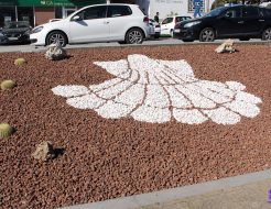 Galeria de Fotos - Jardim da Praça Simas Santos intervencionada