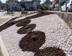 Galeria de Fotos - Jardim da Praça Simas Santos intervencionada