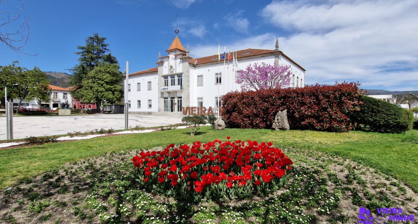 Tulipas dão cor aos jardins de Vieira do Minho