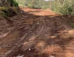 Galeria de Fotos - Município, APOSC e ICNF realizam trabalhos de beneficiação da rede viária florestal