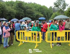 Galeria de Fotos - Campeonato Regional de Velocidade de Remo