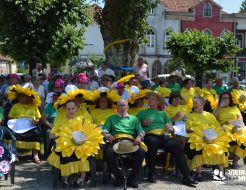 Galeria de Fotos - Marchas Populares animaram a Vila de Vieira do Minho