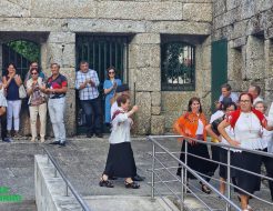 Galeria de Fotos - Casa da Cultura acolheu festa de encerramento da Universidade Sénior e do Conservatório de Música