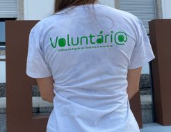 Galeria de Fotos - Voluntariado Jovem para a Natureza e Florestas, jovens já estão no terreno