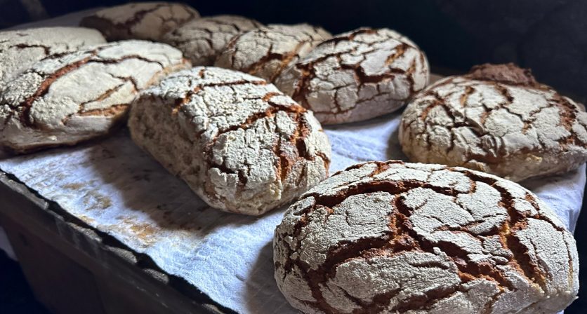 Ciclo do Pão em Campos