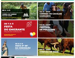 Galeria de Fotos - Animação para Agosto