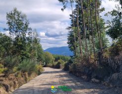 Galeria de Fotos - Câmara Municipal realiza obras na freguesia de Tabuaças