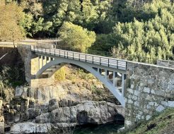 Galeria de Fotos - INAUGURAÇÃO DA OBRA DE REABILITAÇÃO ESTRUTURAL DA PONTE DO BÔCO