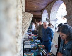 Galeria de Fotos - Feira do Livro 2026 afirma-se e conquista público com nova roupagem