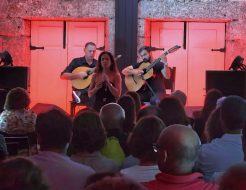 Galeria de Fotos - Quando o Fado canta, a Casa de Lamas ganha alma